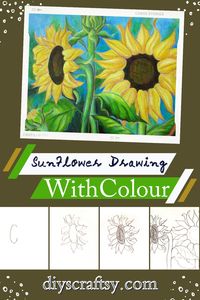 20 Sunflower Drawing Ideas - How To Draw Sunflower