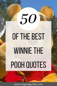 Winnie the Pooh quotes Inspirational, Winnie the Pooh quotes friendship, Winnie the Pooh quotes love, Winnie the Pooh quotes funny, and Winnie the Pooh quotes Wisdom.