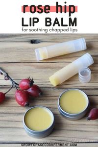 Learn how to make your own homemade and all-natural rose hip lip balm. This easy home remedy recipe uses organic dried rose hips, rose hip seed oil, shea butter, and beeswax for a nourishing, soothing, and moisturizing herbal lip balm for dry lips. Whether you're a beginner herbalist, or just interested in learning how to make your own beauty products, you'll love this DIY lip balm remedy!