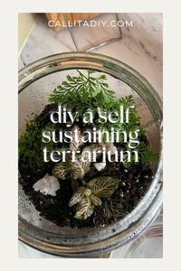 Discover the ultimate guide to crafting a self-sustaining terrarium with our step-by-step tutorial! Dive into the world of DIY terrariums and learn how to create your own green oasis effortlessly. Perfect for plant enthusiasts and nature lovers alike, our comprehensive guide ensures success in nurturing your miniature ecosystem. Explore now and bring the beauty of nature indoors! #DIY #Terrarium #GreenLiving #SelfSustaining