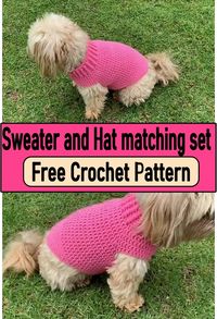 Crochet Dog Sweater