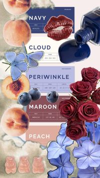 Navy, Cloud, Periwinkle, Maroon, and Peach