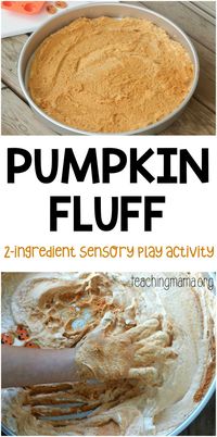 Pumpkin Fluff Sensory Activity - a really fun sensory play activity for children. And you only need 2 ingredients!