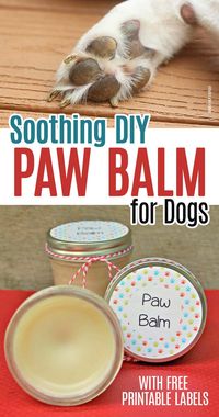 Make a homemade paw balm for dogs to soothe their dry and irritated feet! Protect your dog's paws in summer, winter, or all year long with this natural paw balm made with soothing essential oils. #essentialoils #dogmom #doghealth #homemade