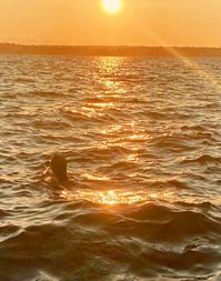 beach sunset photography ocean golden hour sea sunrise scenery