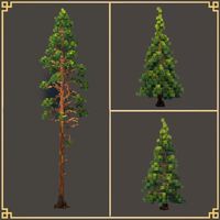 Realistic spruce / pine / redwood inspiration