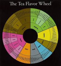 Tea Flavor Wheel : tea