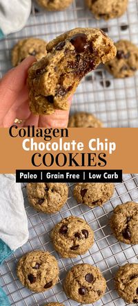 These collagen chocolate chip cookies are the best low carb, Paleo cookies! Made with collagen peptides, almond butter and lightly sweetened with monk fruit (or coconut sugar). This easy collagen cookie recipe is healthy enough for snacking but tasty enough for dessert. #collagencookies #paleocookies #lowcarbcookies #collagenpeptides