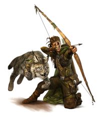 Female Half-Elf Ranger or Hunter - Pathfinder PFRPG DND D&D 3.5 5th ed d20 fantasy