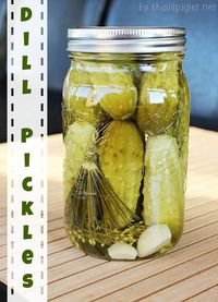 Canning season is upon us and we’re busy canning our bounty. I have to say our cucumbers were much more fruitful last year; in fact, we almost made it an entire year without buying a single j…