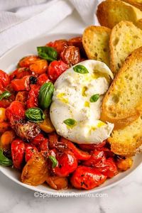 Burrata with balsamic tomatoes is an elegant, easy appetizer. Burrata cheese with roasted balsamic tomatoes, served with crostini!