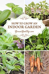 How to Grow an Indoor Garden | Grow a Good Life: "The last few years, I have experimented with growing greens indoors in the winter using my DIY Grow Light System in the cool basement. This year, I am starting some seeds early so we can enjoy fresh harvests for salads, stir-frys, or soups even if a Nor’easter rages outside." | #prepbloggers #garden #indoors