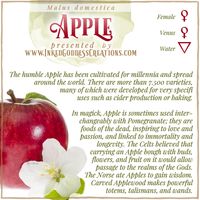 There is so much love lore surrounding Apples! Sharing this fruit with your loved one can ensure your relationship remains happy. Warm an Apple in your hands, then give it to your love. If they eat it, your love is reciprocated! // #apple #magick #love #romance #passion #immortality #longevity #wisdom #kitchenwitch #underworld