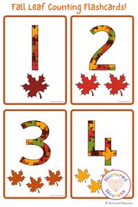 Help your little learners develop number recognition and number sense with these fall leaf number flashcards. Why not challenge your children to go and scavenge some fall items to match the card? There's the numbers 1-10 included in the pack and you geet download them right now over at Nurtured Neurons! #fallmath #fall #leaves #fallactivities #preschoolmath #kindergartenmath #earlymath #classroom #classroom #flashcards #counting #numbers