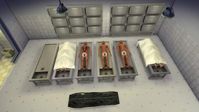 Mod The Sims - Simcity 4 Morgue set.