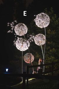 Wire Sculpture Dandelions by FantasyWire