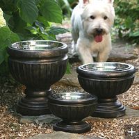 Put dog bowls in urns for lifted food/water. No more ugly water bucket! I love this idea!