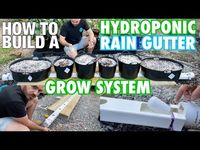 How to Build a Hydroponic Rain Gutter Grow System - YouTube