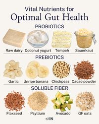 Get it, *gut* it, good. 🥄 Optimize your microbiome, get things moving (you know what we mean), and nourish your gut-brain axis with these 12 critical nutrients.  Want to learn all about how to master your gut health?   Click the link and download our FREE guide!   #prebiotic #probiotic #guthealth #gutbrainaxis #chickpeas #sauerkraut #tempeh #coconutyogurt #avocado #oats #flaxseed #fiber