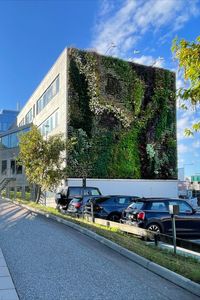 Explore the @greenworks_sweden Outdoor Vertical Garden, a living masterpiece that harmoniously merges architecture and nature. The Bergudden 8 Kungsleden facade transforms spaces with lush greenery, enhancing aesthetics and environmental sustainability. Embrace nature's elegance with this green sanctuary. #ArchitonicProductPick #Facade #Walldecoration #Greenfacades #Urbanspace #Buildingconstruction