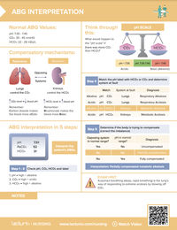 How to interpret an ABG:Learn what an arterial blood gas is, what normal ABG values are