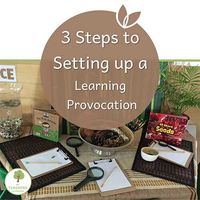 3 Steps to Setting Up a Learning Provocation