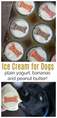 PEANUT BUTTER BANANA DOG ICE CREAM RECIPE