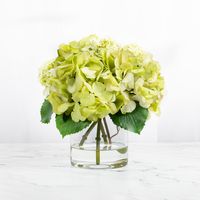 This gorgeous silk hydrangea centerpiece arrangement in a glass vase consists of 3 full blooms and snowball hydrangeas that will add a softness and subtle texture to any space. Displayed in a cylinder glass vase with acrylic water, this real touch faux floral arrangement will bring elegance, class, and style to any room. #greenflowerarrangement #hydrangeaarrangement #silkflowerarrangement #floraldecor #centerpieceflowerarrangement