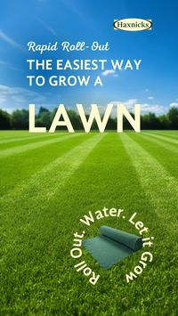 Starting a new lawn from scratch can be a complex task. Rapid Roll-Out is a lawn in a roll - easier then buying lawn seed but much cheaper and simpler  to handle than turf.  Simply roll out, water and watch your new lawn grow! Click through to buy yours now...
| Gardening | Lawn Care | Lawn laying | Grass seed  | how to grow a lawn from scratch | right time to plant a lawn | grass seed mat | grass seeds lawn | grass seeds how to grow spring |