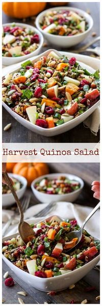 Harvest Quinoa Salad | This gluten-free, vegan quinoa salad is full of fall flavor and perfect for Thanksgiving!