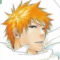 #bleach #animanga #matchingpfp #icons #mangaart #matchingicons #ichigo #rukia