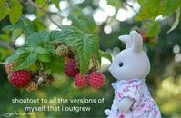 #words #sad #growth #healing #sylvanianfamilies