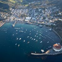 Visiting Catalina island? Here's your guide to the best recommendations on the island!🌴