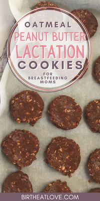 BEST lactation cookies that boost milk supply for breastfeeding Moms. Looking for an EASY lactation cookies recipe, with simple ingredients? These peanut butter and oatmeal lactation cookies only require 1 bowl and just a few breastfeeding pantry staples. You'll love this lactation cookie recipe for boosting milk supply and a tasty breastfeeding snack or treat.