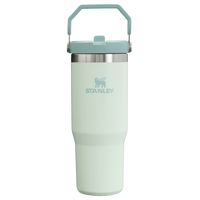 The IceFlow Flip Straw Tumbler | 30 OZ | Insulated Water | Stanley