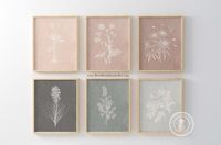 "Set of botanical prints in boho-chic shades of blush, dusty rose and mauve with three different shades of neutral gray: from cloud gray to deep charcoal. The wildflower silhouettes are lightly tinted. * Each set consists of six prints. * Professionally printed on matte, fine art paper. Unframed. * Watermark text will not appear on your prints. * Also available in 16\"x20\" (for U.S. Delivery Only) Please contact me for pricing details. Frame and mat are not included; they are for illustrative p