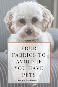 Have a dog? Avoid using these 4 types of fabrics on your furniture! I�m a fellow dog mom and an interior designer. And I�m here to help you create a sophisticated and pet friendly home. Sofa, chair, living room design, sectional, fabrics, upholstery, dog