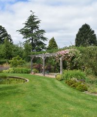 How to design a pergola – and the best plants to choose | Country