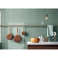 TravisTileSales Slash 3" x 12" Porcelain Subway Tile | Wayfair