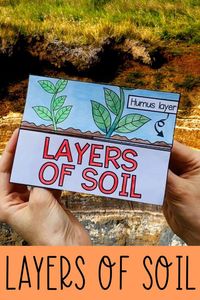 Review the layers of the soil with this differentiated foldable activity. This fun alternative to a standard cut and paste worksheet allows children to order the layers in the soil profile with either descriptions or name labels. It covers the topsoil, subsoil, weathered rock (parent material) and bedrock. There's an option included for students to write descriptions in the boxes. Suitable for home or school earth science lessons, interactive notebooks, centers and more!