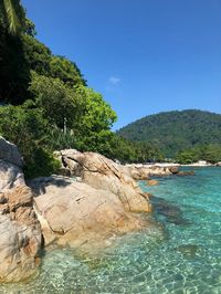 Découvrez les merveilles de la Malaisie lors d’un voyage unique et captivant. Partez à la découverte des îles paradisiaques de Perhentian et plongez dans les eaux cristallines pour explorer la vie marine riche et colorée. Vous visiterez également Kuala Lumpur, où vous découvrirez les joyaux architecturaux et culturels de la ville. Ensuite, partez pour les Cameron Highlands et savourez une tasse de thé tout en admirant les magnifiques paysages. Vous aurez également la chance de voir la fleur Rafflesia, la plus grande fleur du monde, et d’en apprendre davantage sur la culture et les traditions des indigènes orang aslis. Ce voyage en Malaisie vous laissera des souvenirs inoubliables de cette destination exotique et fascinante.