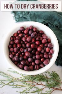 You'll learn how to dry cranberries for decorating and different ways to use dried cranberries in your Holiday decorating.