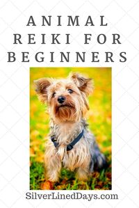 Reiki can be used on every living thing for healing, personal development, deep relaxation and stress relief.   Animal Reiki is an increasingly popular niche as more Reiki practitioners and vets are adding Reiki to their practice.  If you are wondering about how Reiki can be applied to your pet in need of healing, ... reiki healing | energy healing | holistic healing | chakra healing | law of attraction | spirituality | lightworker