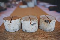 12 Birch Bark Place Card Holders for Weddings by BirchHouseMarket