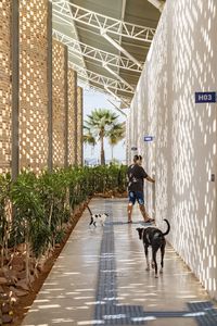 Unileão School Veterinary Hospital / Lins Arquitetos Associados | ArchDaily