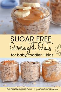 Sugar Free Overnight Oats - Golden Bear Mama