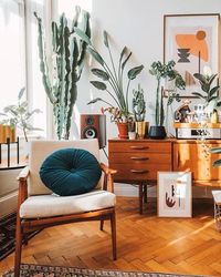 40 ideias para usar Cactos na Decoração - decoração com plantas