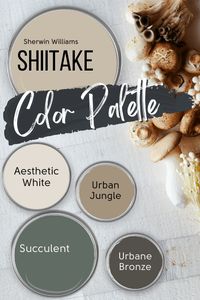 Sherwin Williams Shiitake is the Smooth Beige Wall Color You've Been Dreaming of (Plus Dupes!) - Mod & Mood