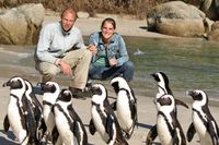 The BEST Cape Town Tours and Things to Do in 2024 - FREE Cancellation | GetYourGuide