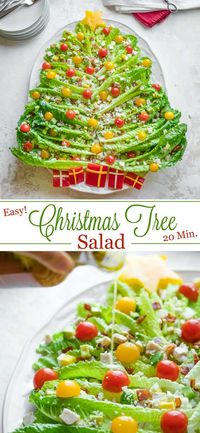 A holiday twist on a beloved salad! The classic chicken Cobb salad recipe is reinvented for the holidays as this gorgeous but EASY Christmas Salad! So pretty, and surprisingly simple to make – it can even be made ahead! Wow your guests with a fun new recipe this year – make this absolutely delicious, crowd-pleasing showstopper for your holiday table! | christmas recipes dinner | holiday recipes | holiday salads | christmas salad recipes | christmas buffet ideas | www.TwoHealthyKitchens.com